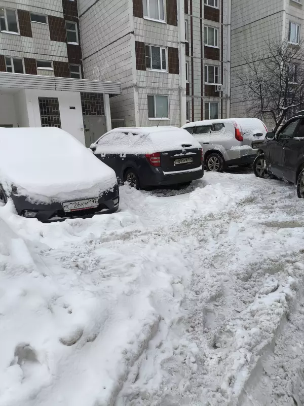 Tapтaлeтки & Ко