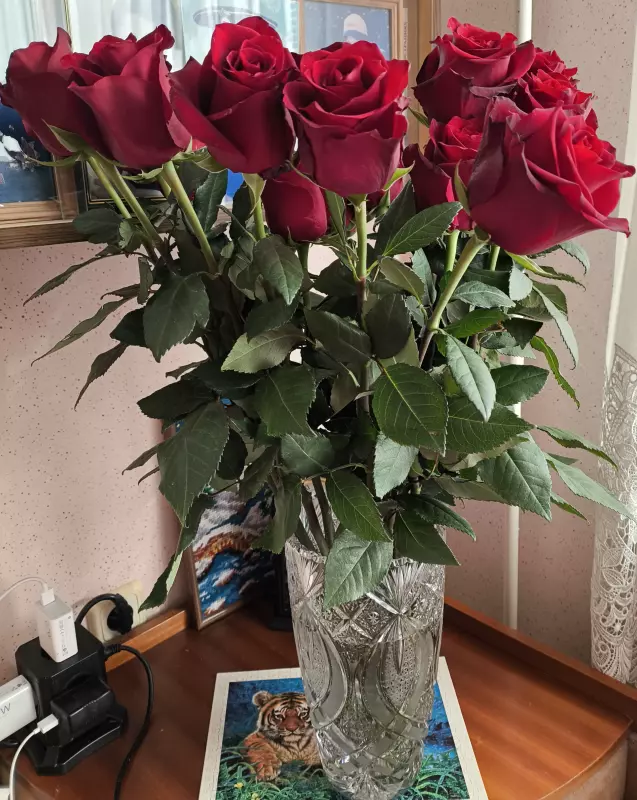 Tapтaлeтки & Ко