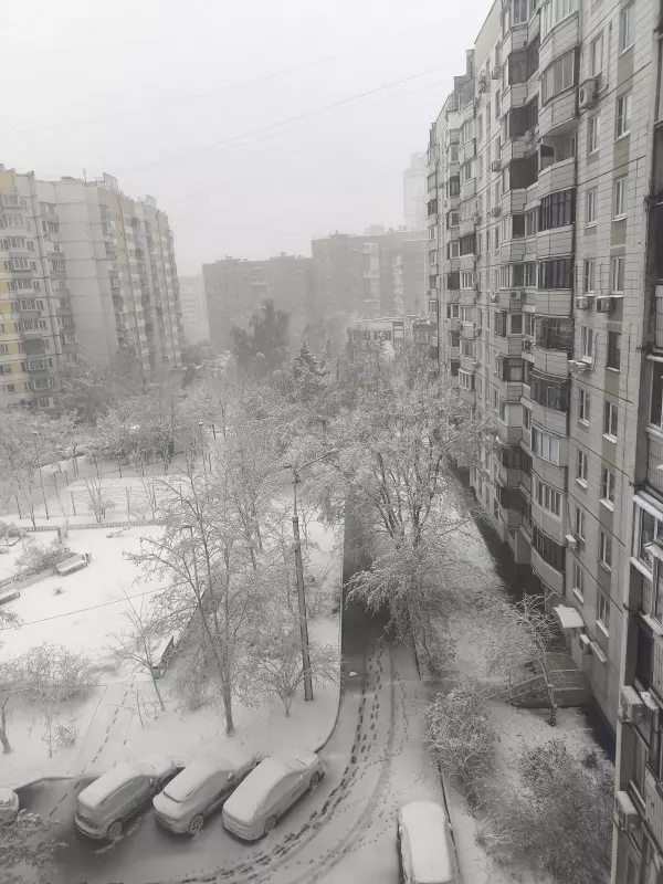 Tapтaлeтки & Ко