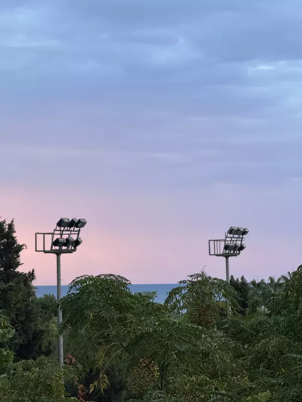 Tapтaлeтки & Ко
