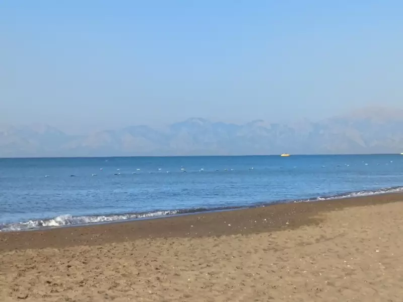 Tapтaлeтки & Ко