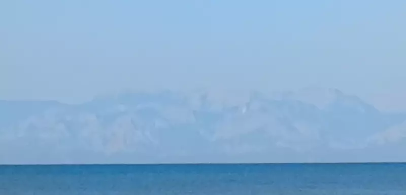 Tapтaлeтки & Ко