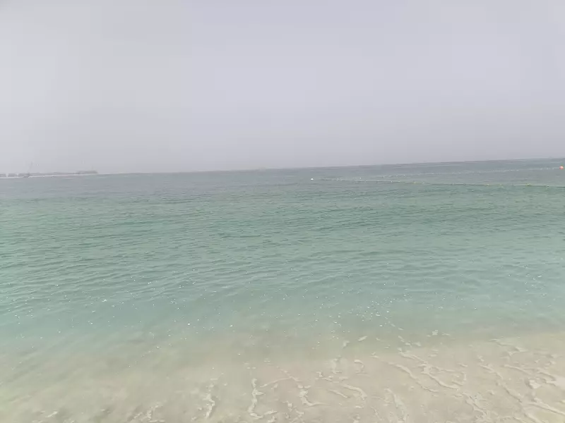 Tapтaлeтки & Ко