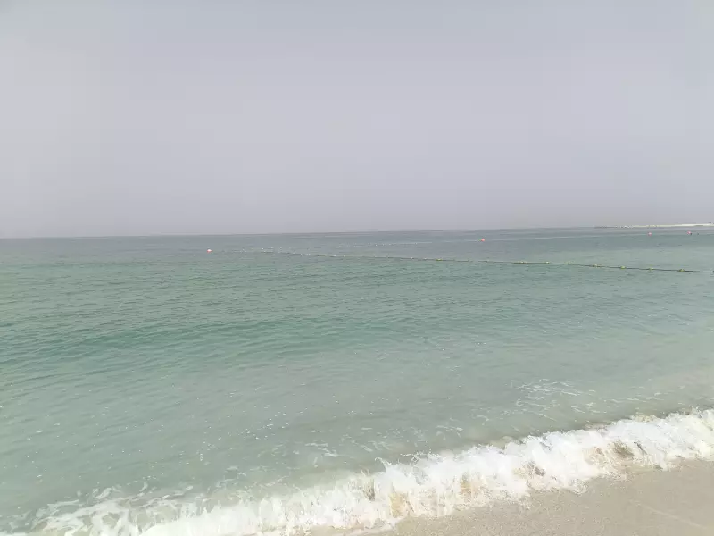 Tapтaлeтки & Ко