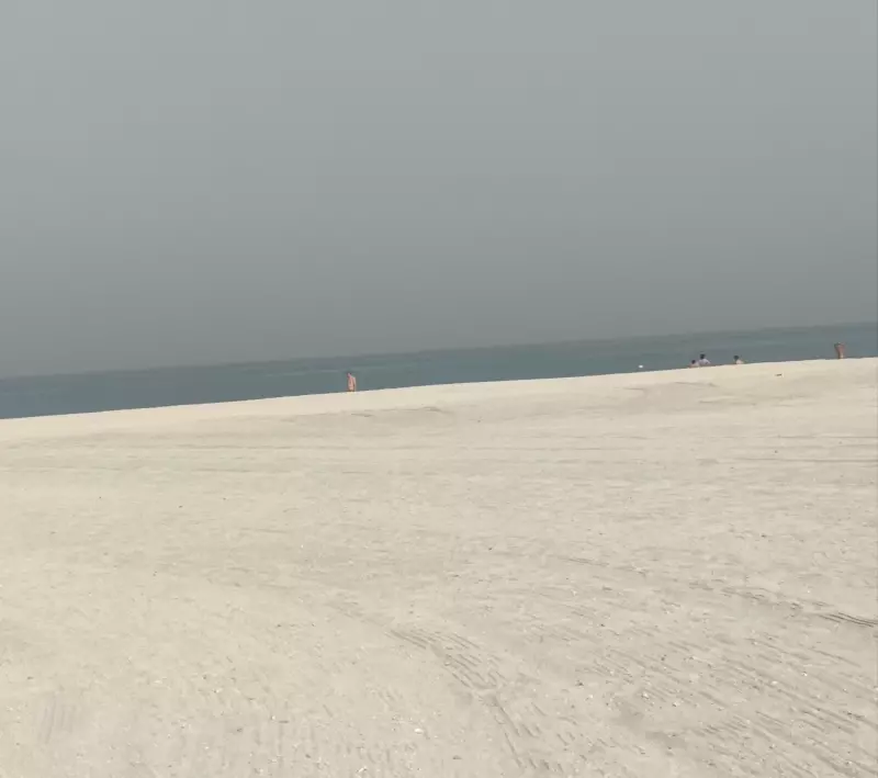 Tapтaлeтки & Ко