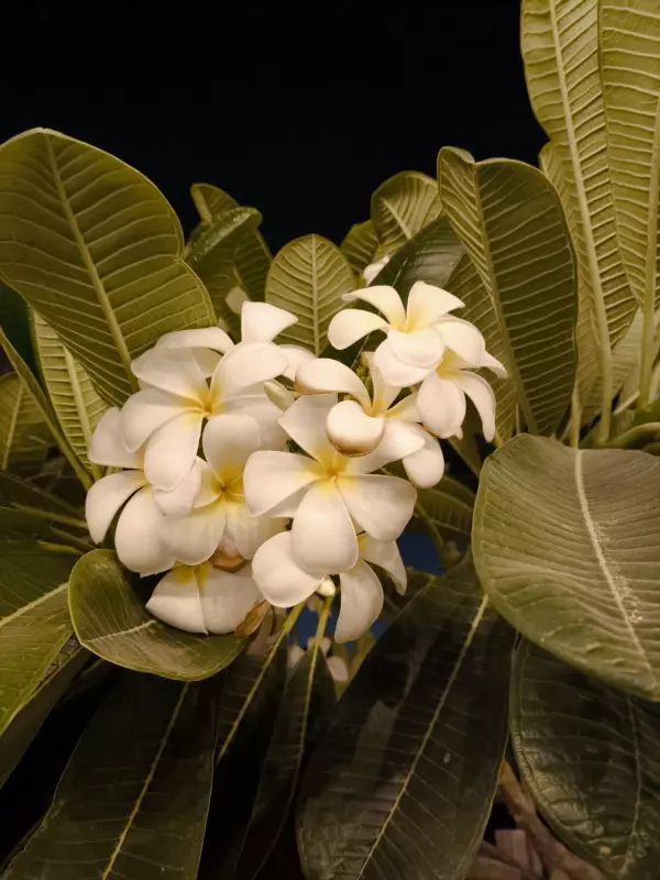 Tapтaлeтки & Ко