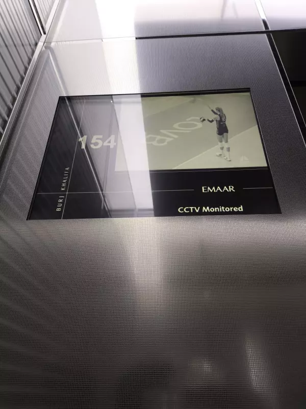 Tapтaлeтки & Ко