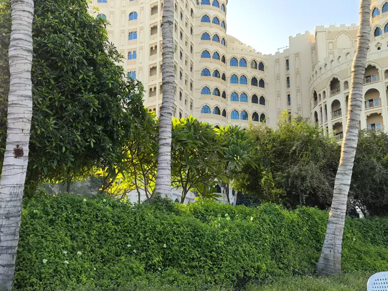 Tapтaлeтки & Ко