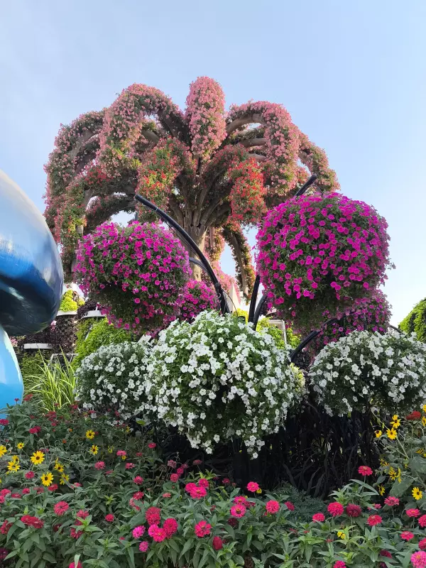 Tapтaлeтки & Ко