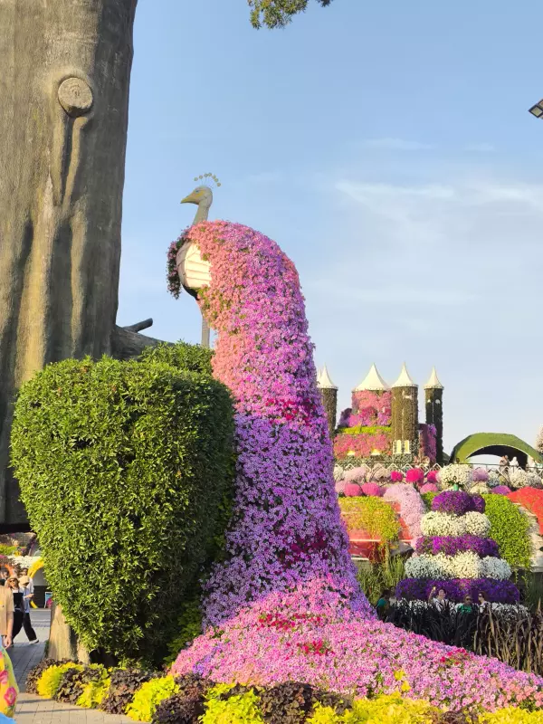 Tapтaлeтки & Ко