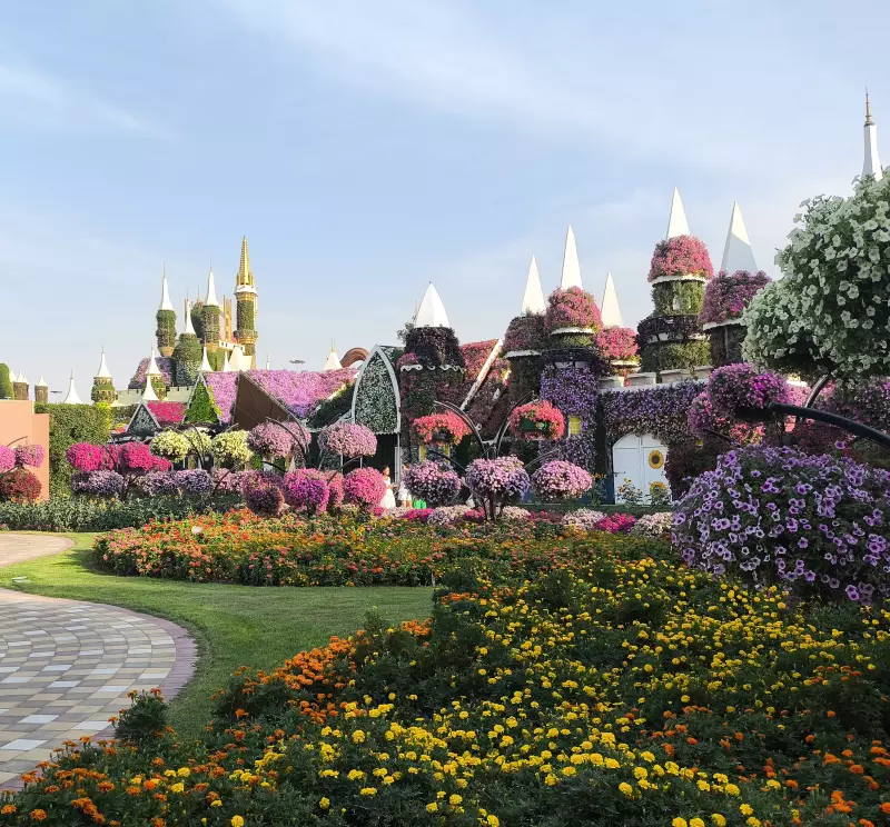 Tapтaлeтки & Ко