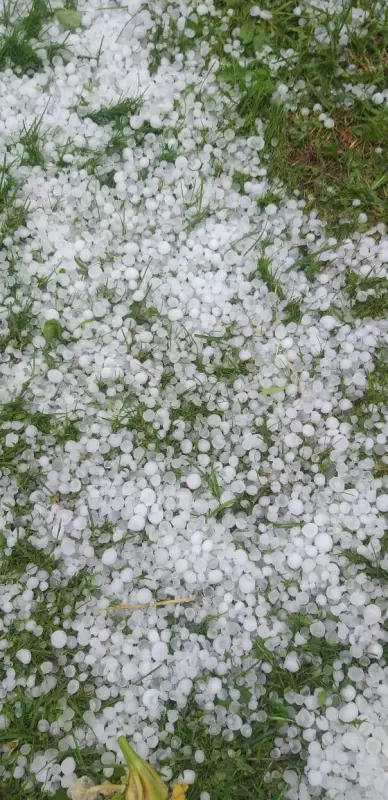 Чайная беседка