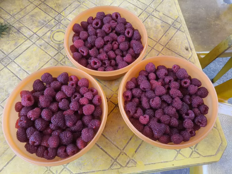 Чайная беседка