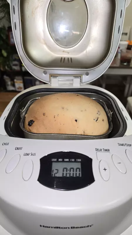 Кулич масляный