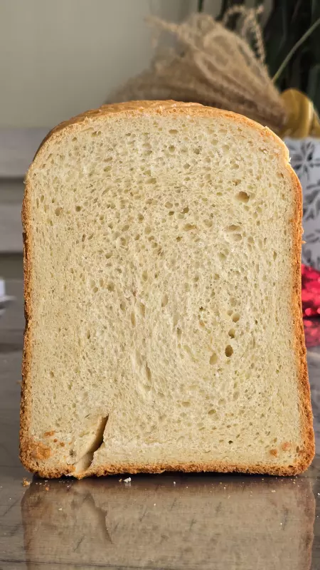 Хлебопечка Hamilton Beach 29881