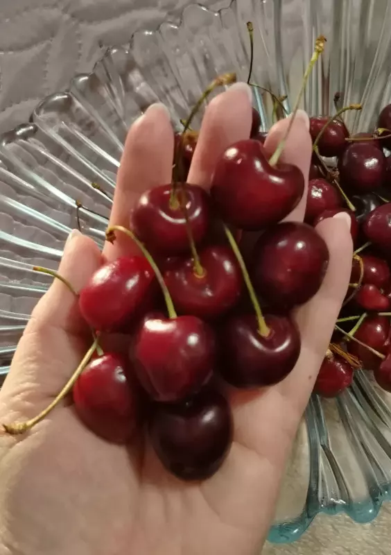 Что Вы сейчас едите? Фотоблог с вашего стола