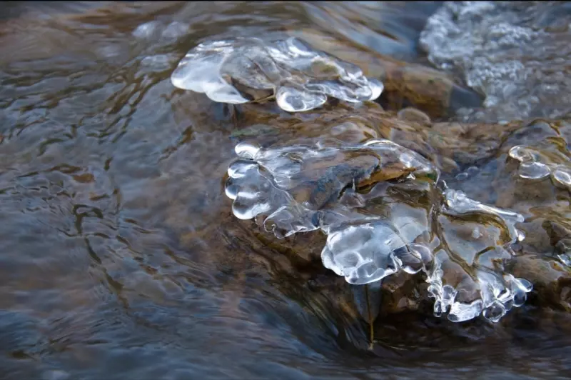 Такое разное небо
