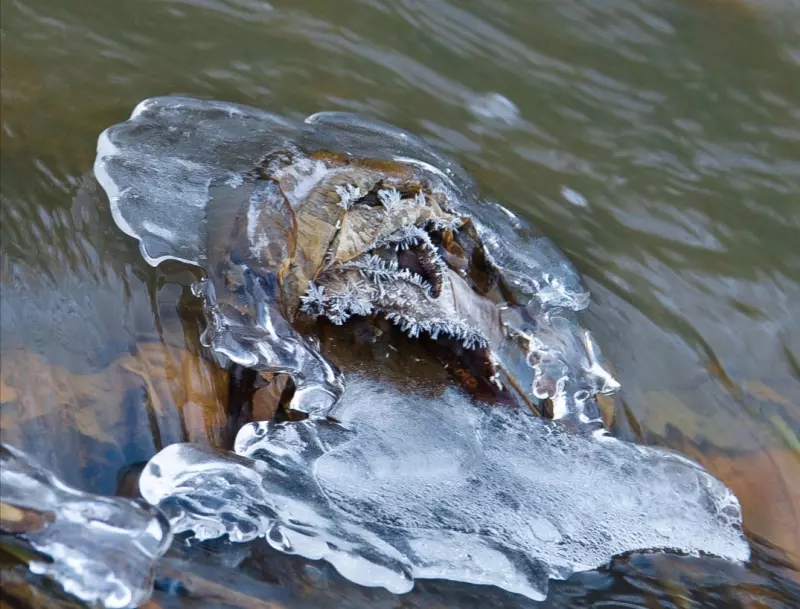 Такое разное небо