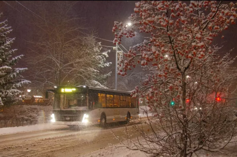 Такое разное небо