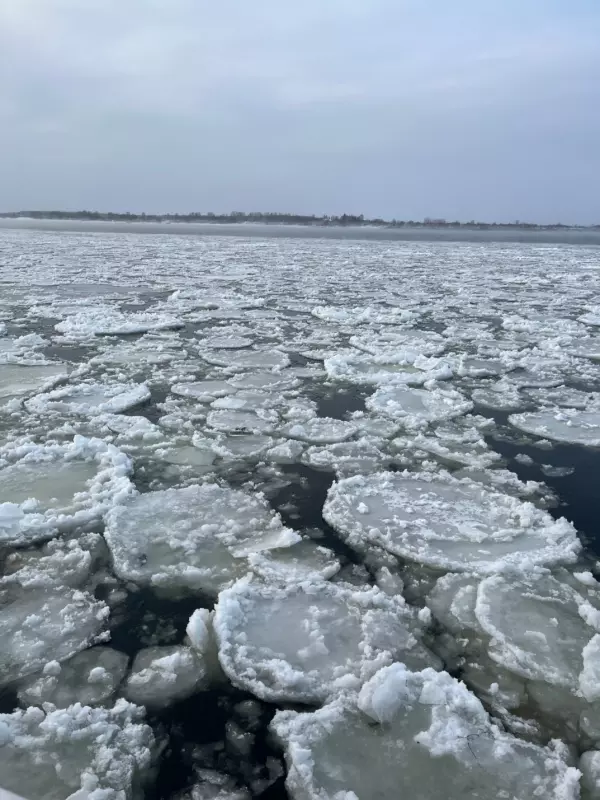 Такое разное небо
