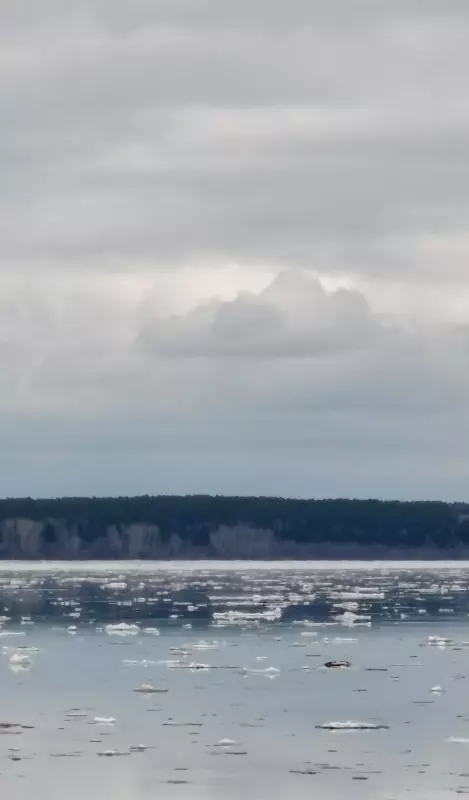 Такое разное небо