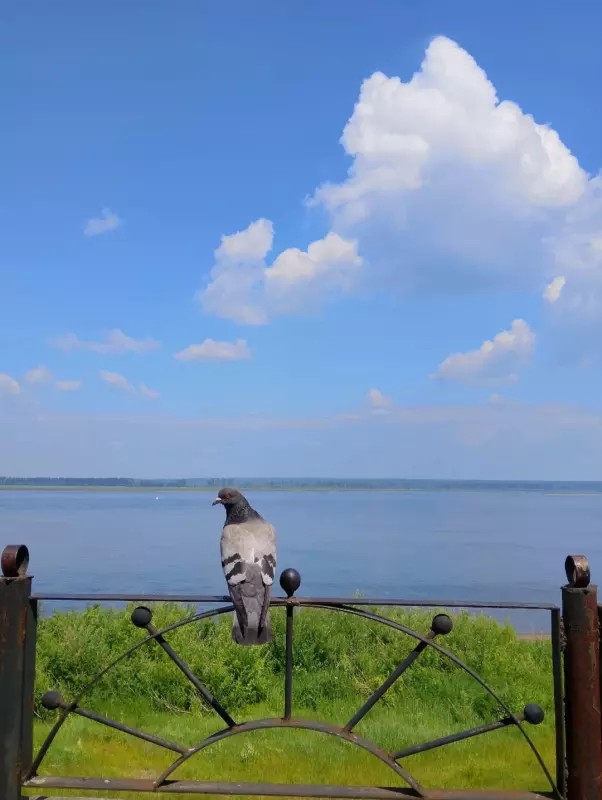 Такое разное небо
