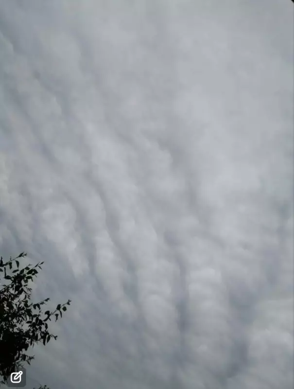 Такое разное небо