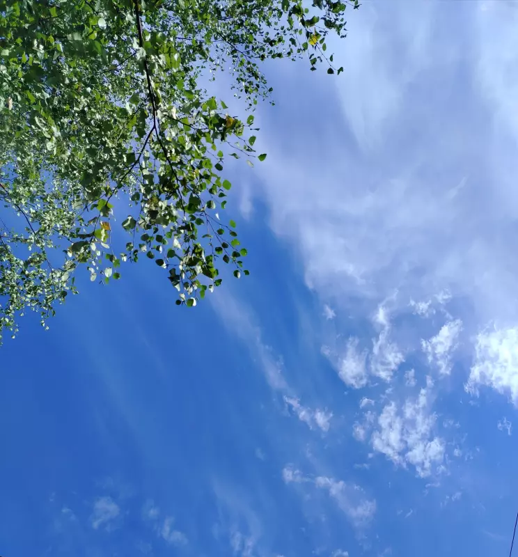 Такое разное небо