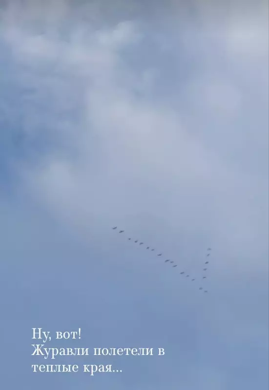 Такое разное небо