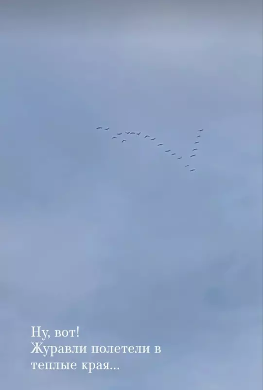 Такое разное небо