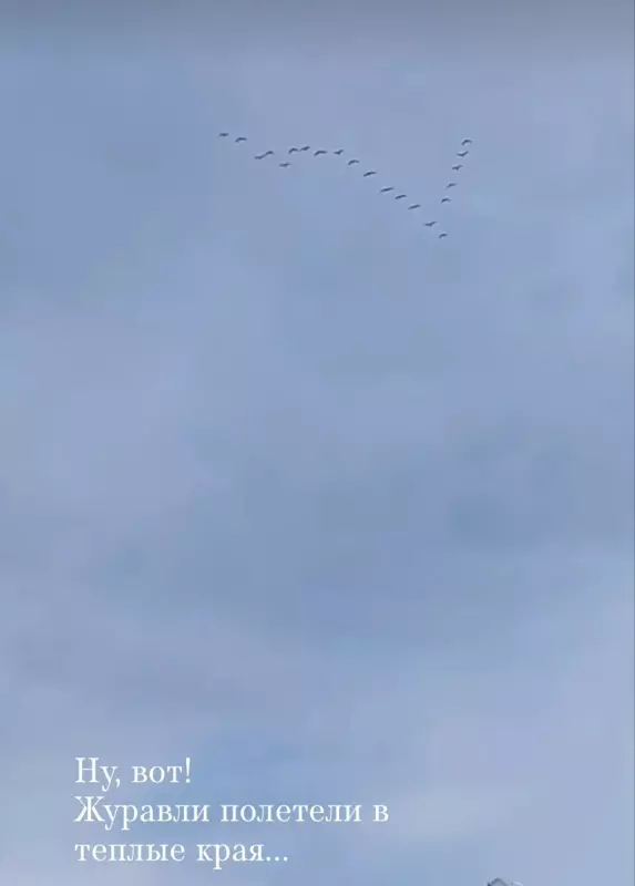 Такое разное небо