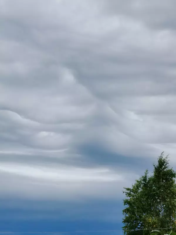 Такое разное небо