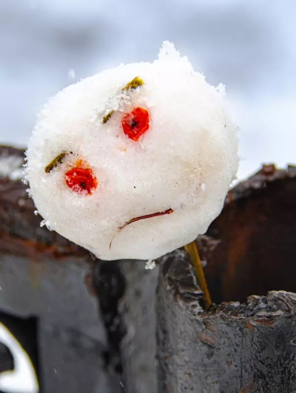 Фотонастроение