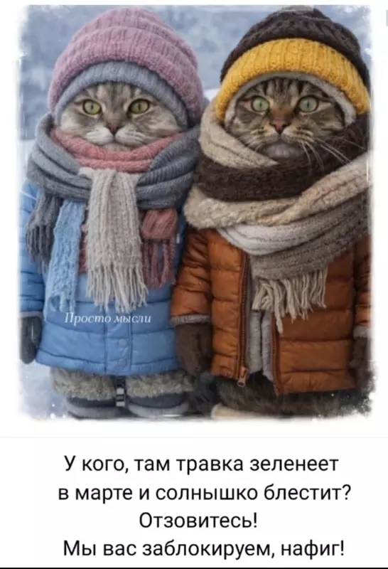 Фотонастроение