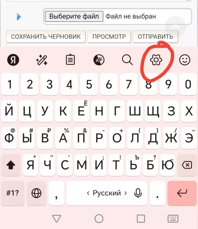 Глупые вопросы