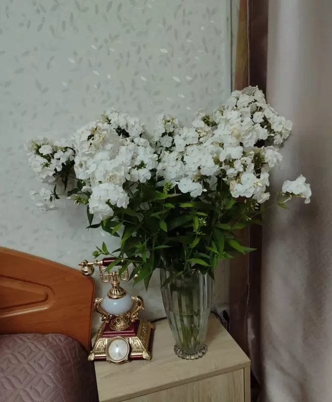Кафе "У пани Сони"
