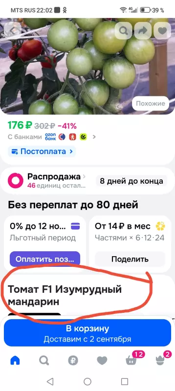 Tapтaлeтки & Ко