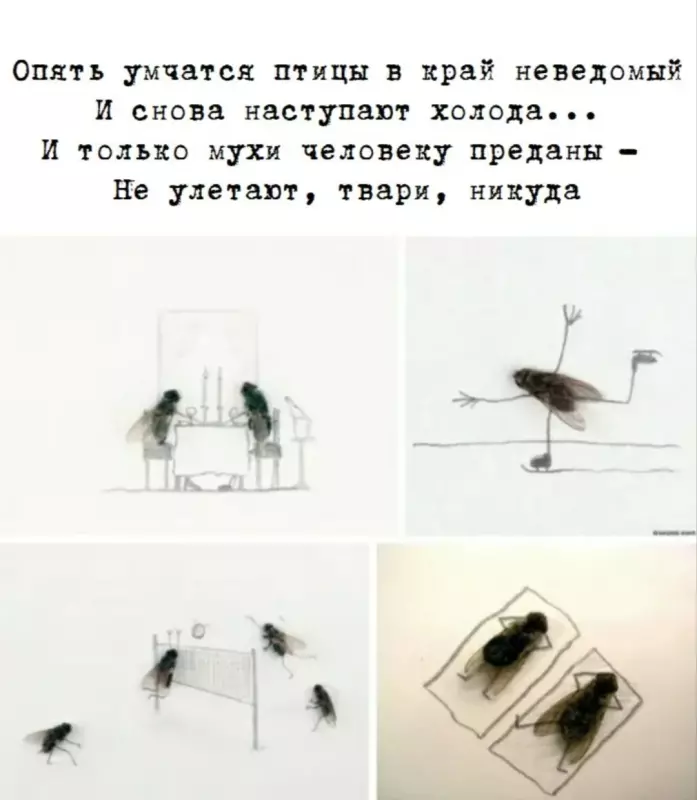 Tapтaлeтки & Ко