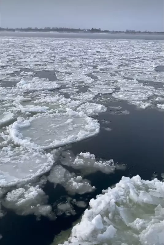 Tapтaлeтки & Ко