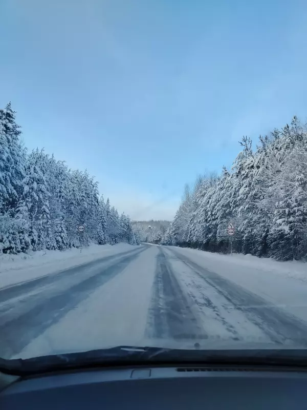 Tapтaлeтки & Ко