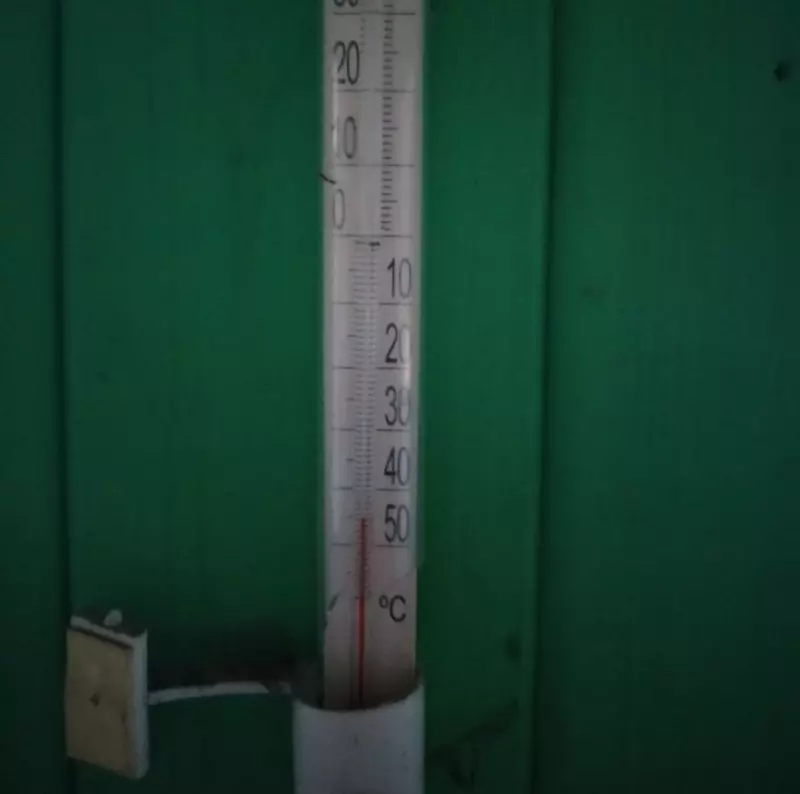 Tapтaлeтки & Ко