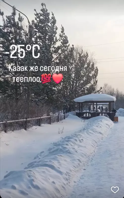 Tapтaлeтки & Ко