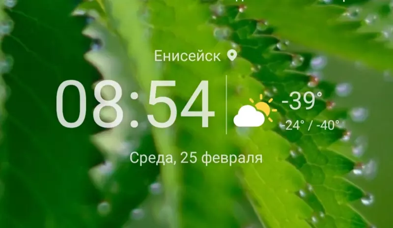 Tapтaлeтки & Ко