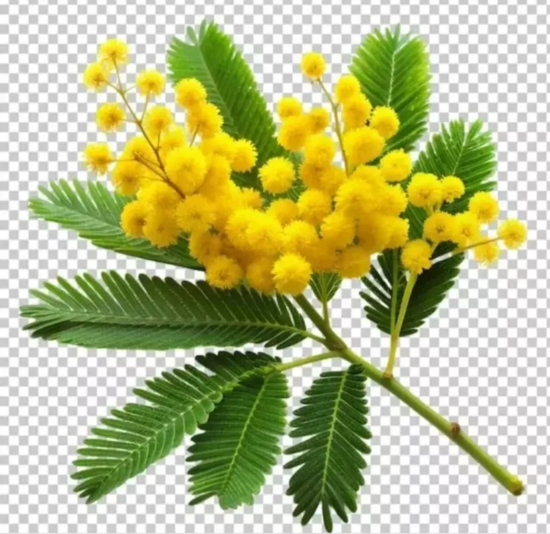 Tapтaлeтки & Ко