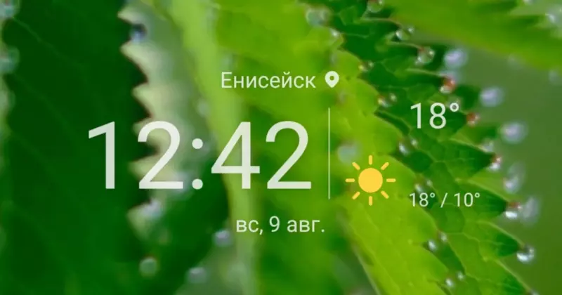Tapтaлeтки & Ко
