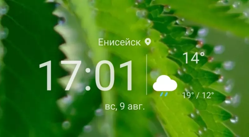 Tapтaлeтки & Ко