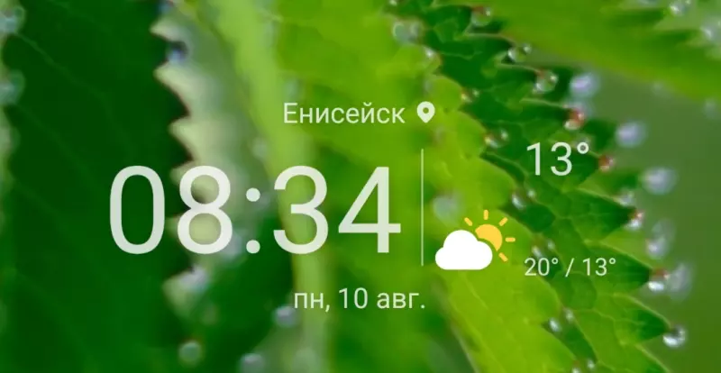 Tapтaлeтки & Ко