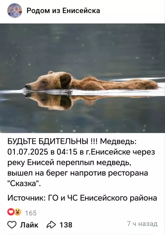Tapтaлeтки & Ко