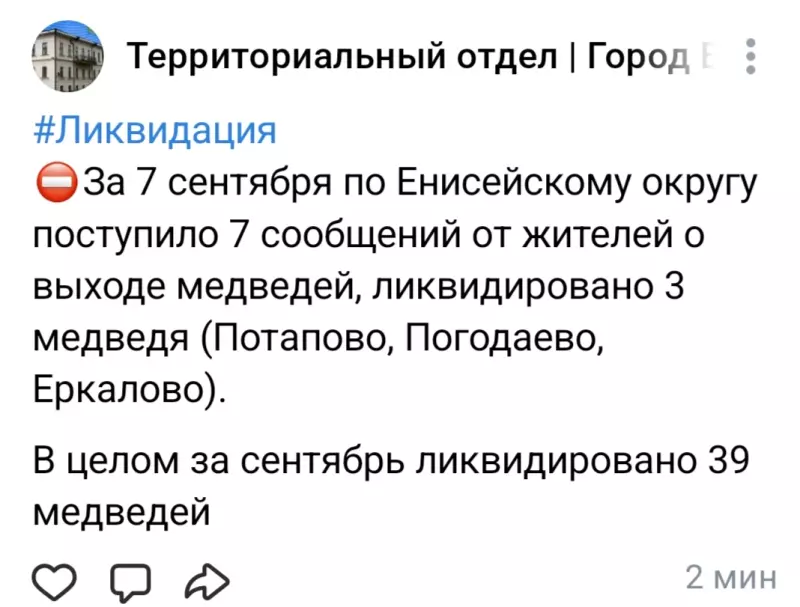 Нашествие медведей