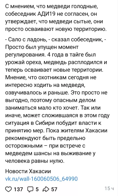 Нашествие медведей
